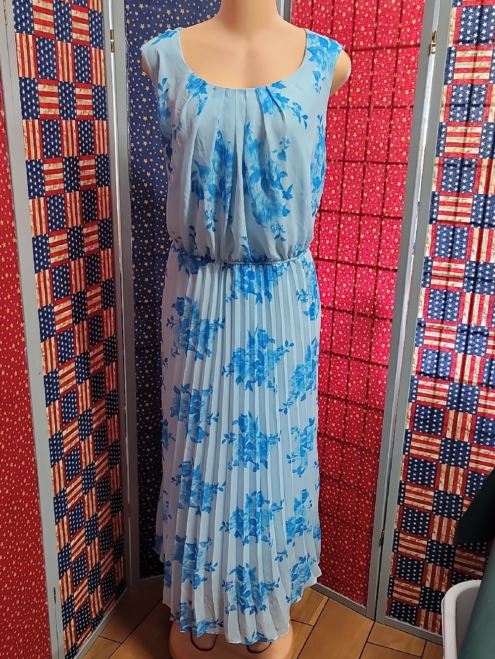 Sandra Darren Light Blue Floral Pleated Maxi Dress